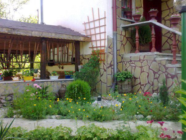 Veselata Guest House Dolna Banya Exterior foto